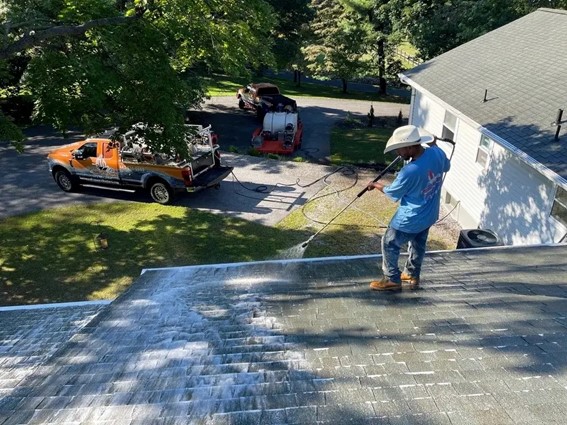 Roof Cleaning in Eldersburg, MD