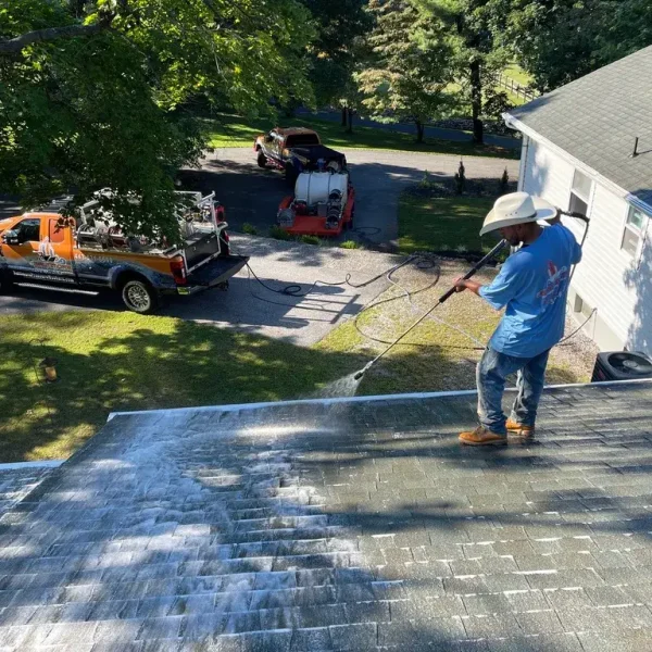 Roof Cleaning in Lutherville, MD